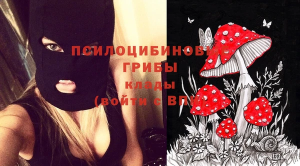 сатива Каменск-Шахтинский