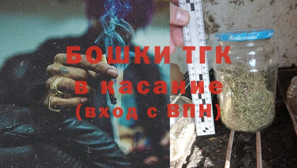 сатива Каменск-Шахтинский
