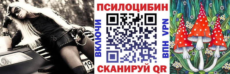 Купить где  Гудермес  Галлюциногенные грибы Psilocybine cubensis 