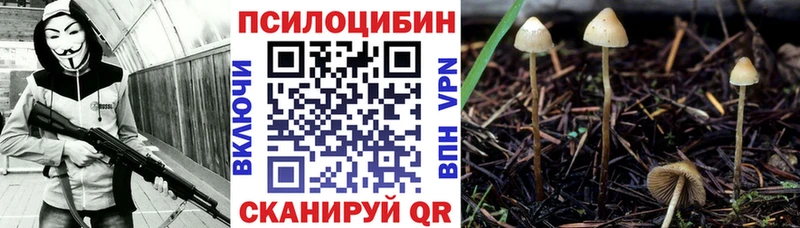 Галлюциногенные грибы мухоморы Гудермес
