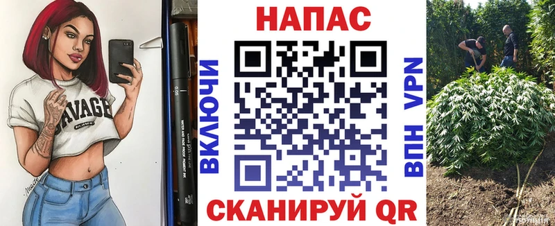 Купить  Гудермес  Бошки марихуана OG Kush 